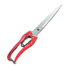 Хайч ангарзуур улаан