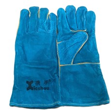 Гагнуурын бээлий цэнхэр