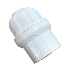 Хятад цагаан патрон том